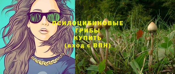 spice Абаза