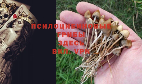 дурь Алексин