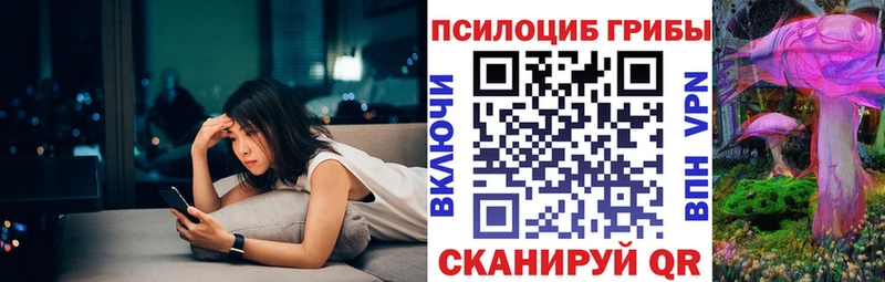 дарнет шоп Бобров Псилоцибиновые грибы мухоморы
